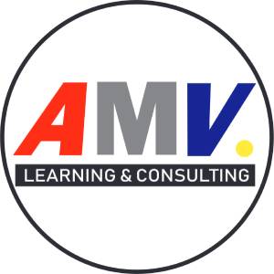 AMV Learning & Consulting, ACTIVIDADES EMPRESARIALES N.C.P., LIMA, Excel, in house, asesoramiento